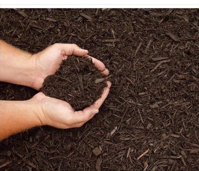 Two hands holding mulch